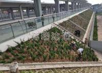 京张铁路四标延庆站附属工程